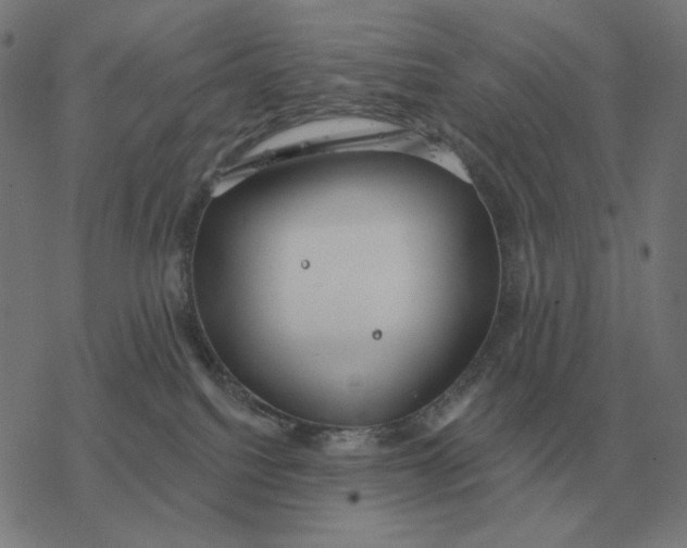 X0000077320088200611101509