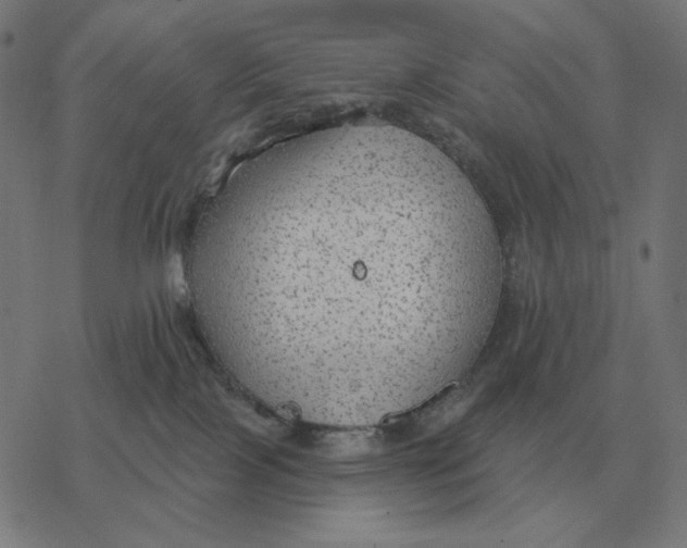 X0000077320089200611101509