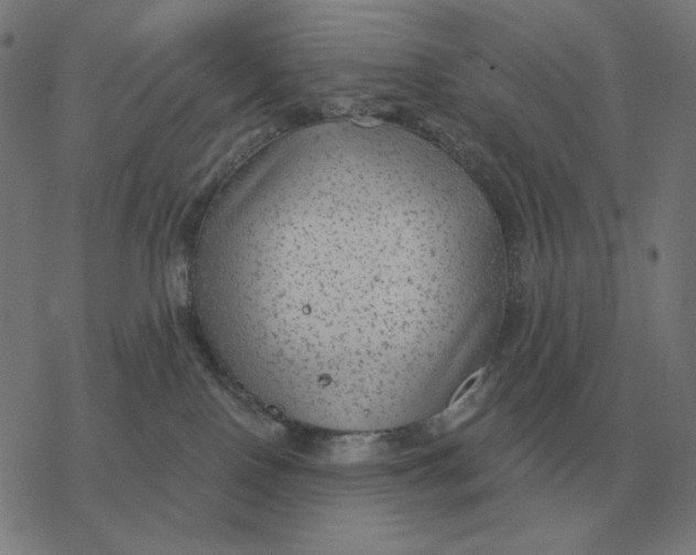 X0000077320090200611101509