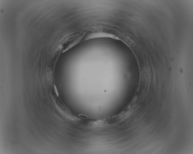 X0000077320092200611101509