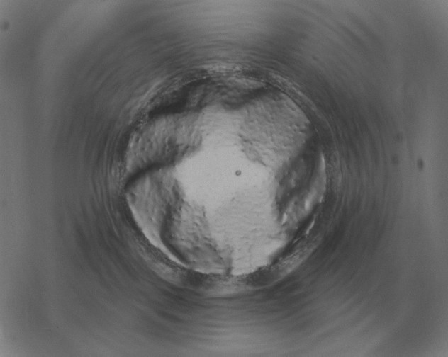 X0000077320093200611101509