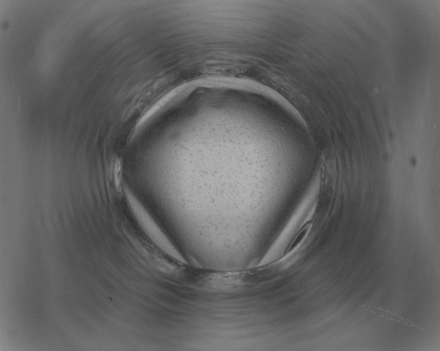 X0000077320094200611101509