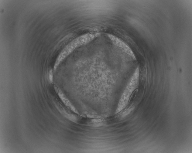 X0000077320095200611101509