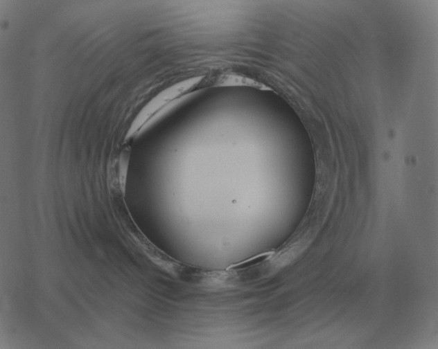 X0000077320096200611101509