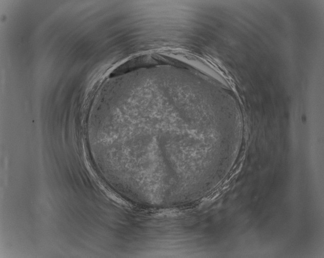 X0000077320097200611101508