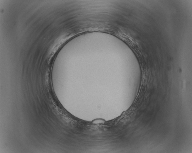 X0000077320098200611101508