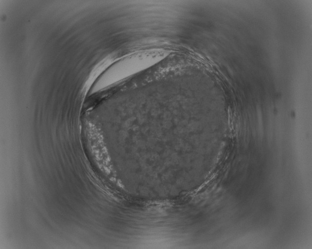 X0000077320099200611101508