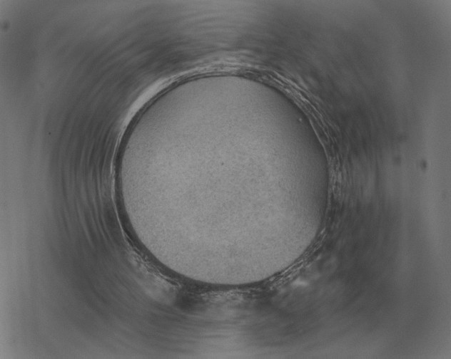 X0000077320100200611101508