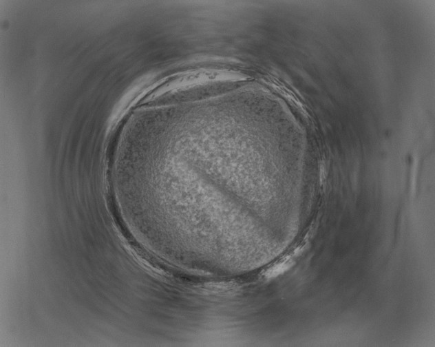 X0000077320101200611101508