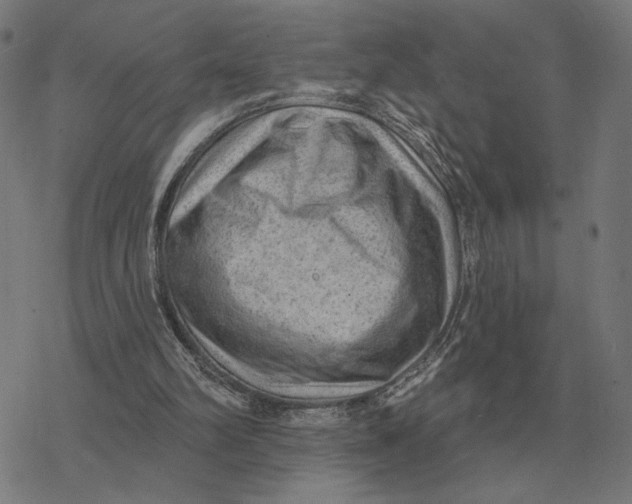 X0000077320102200611101508