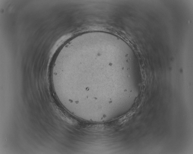 X0000077320104200611101508