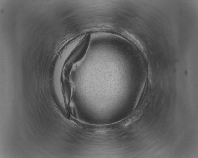 X0000077320105200611101508