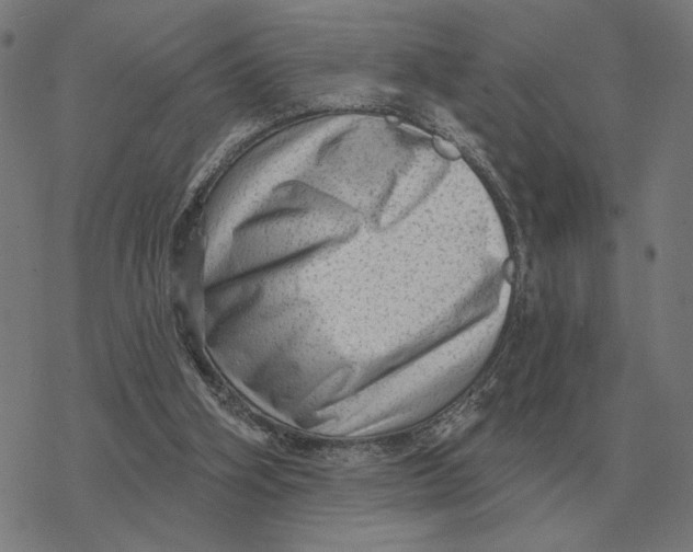 X0000077320106200611101508