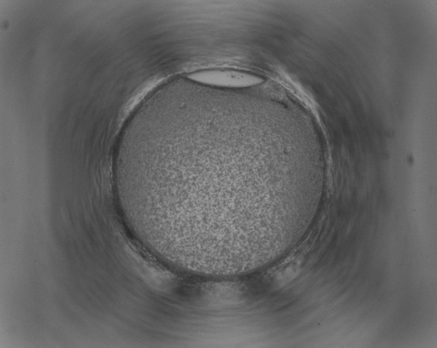 X0000077320107200611101508