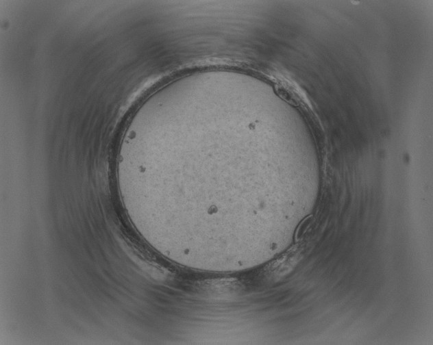 X0000077320108200611101508