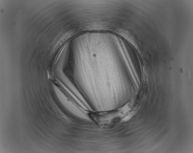 X0000077320109200611101508