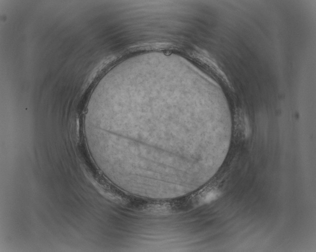 X0000077320110200611101508