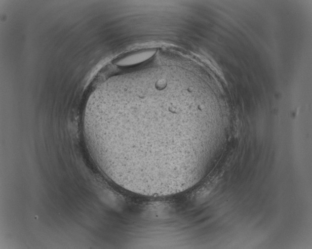 X0000077320111200611101508