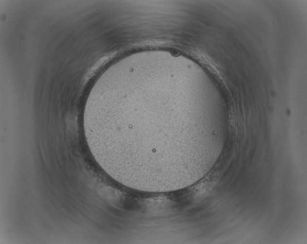 X0000077320112200611101508