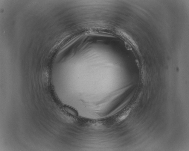 X0000077320113200611101508