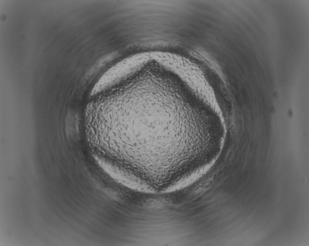 X0000077320115200611101508