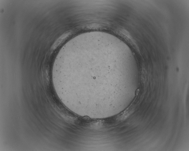 X0000077320116200611101508