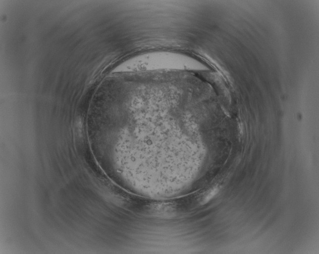 X0000077320117200611101508