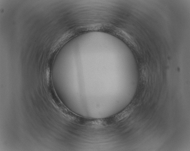 X0000077320118200611101508