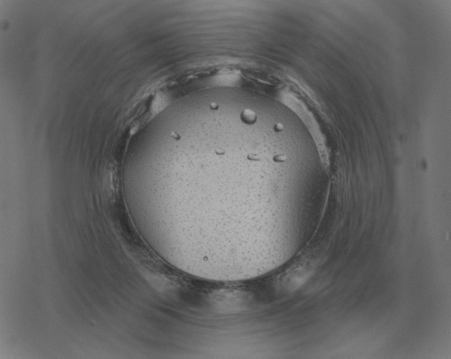 X0000077320119200611101508