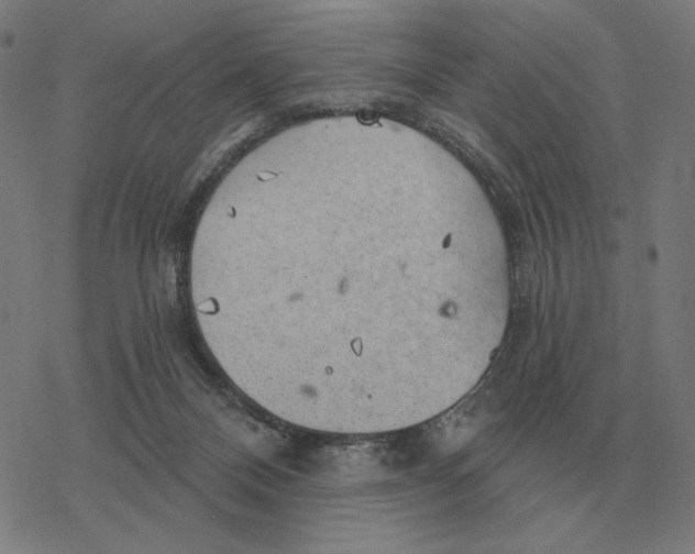 X0000077320120200611101508