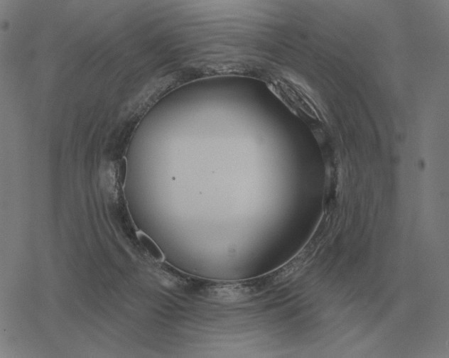 X0000077320121200611101508