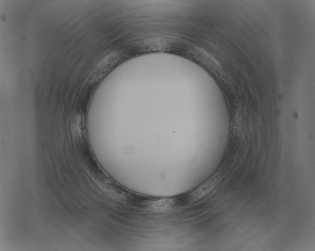 X0000077320122200611101508