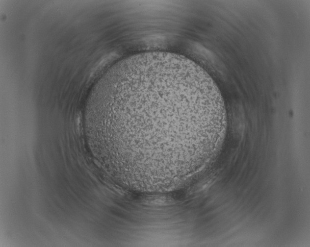 X0000077320123200611101508