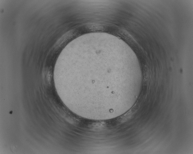 X0000077320124200611101508