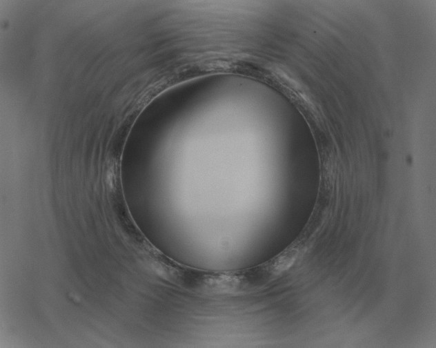 X0000077320125200611101508