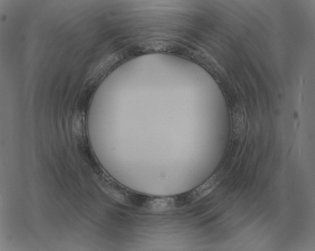 X0000077320126200611101508