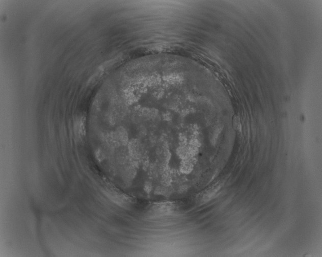 X0000077320127200611101508