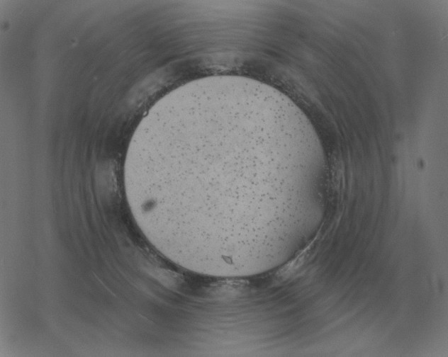 X0000077320128200611101508