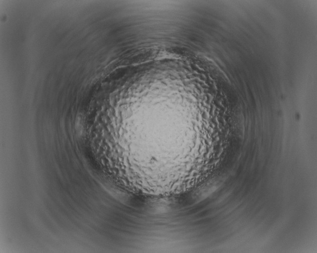 X0000077320131200611101508