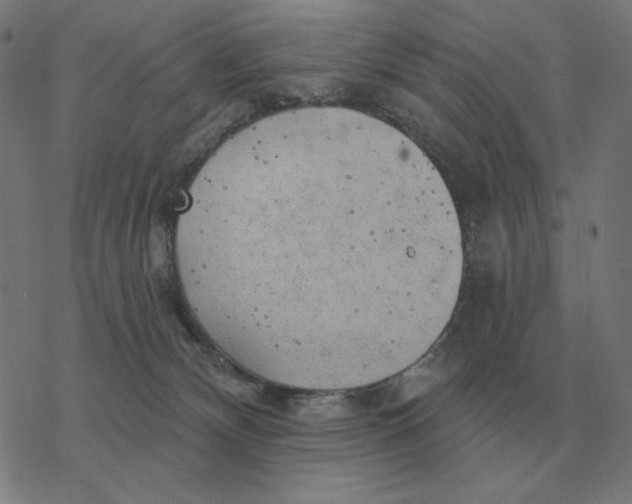 X0000077320132200611101507