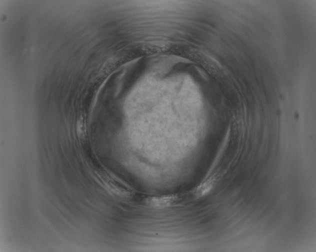 X0000077320134200611101507