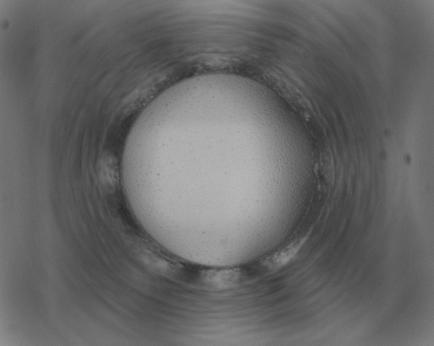 X0000077320135200611101507