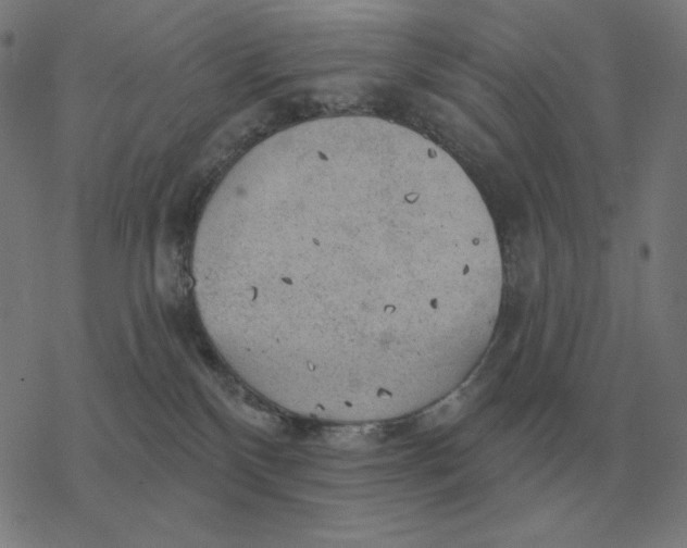 X0000077320136200611101507