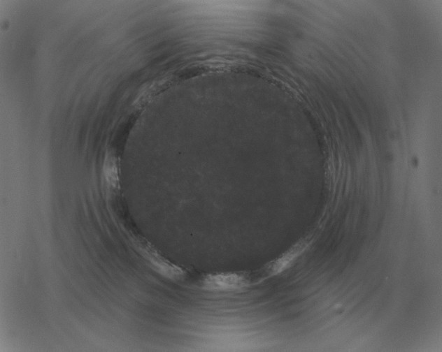 X0000077320137200611101507