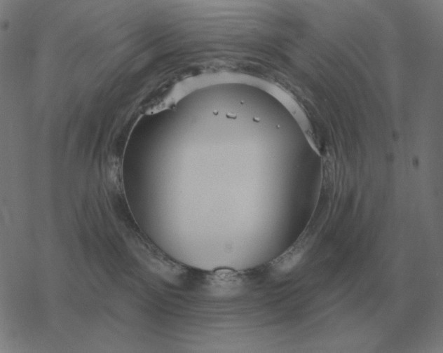 X0000077320141200611101507