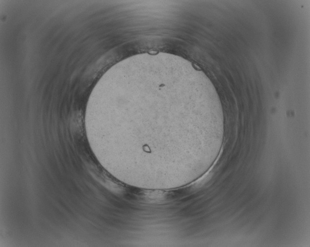 X0000077320144200611101507