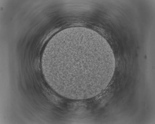 X0000077320146200611101507