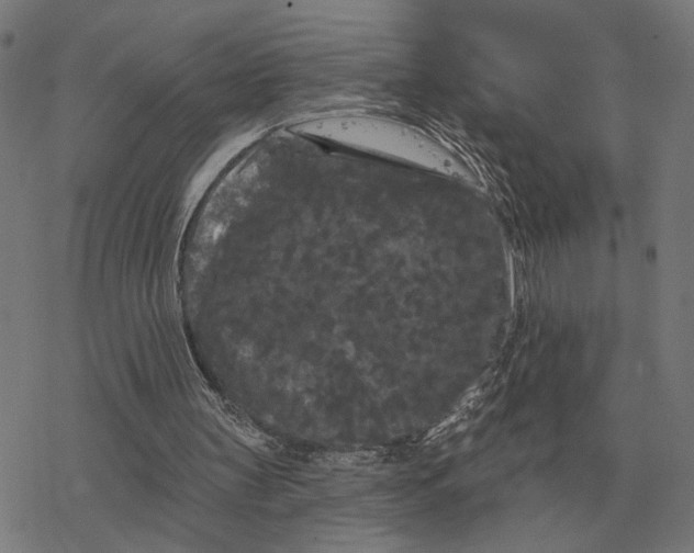 X0000077320147200611101507