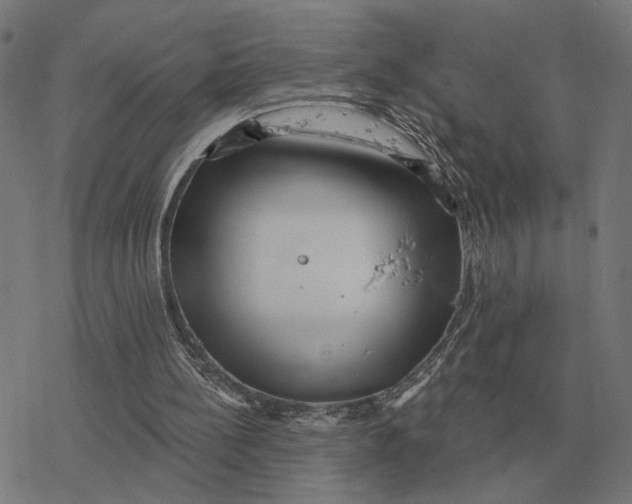 X0000077320148200611101507