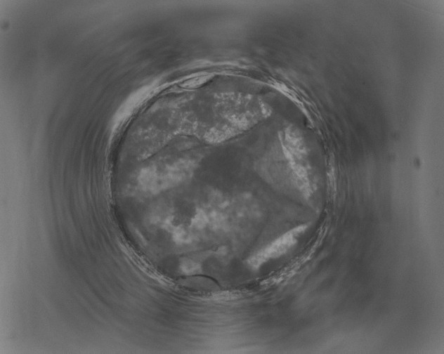 X0000077320149200611101507